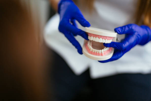  West Buechel, KY Holistic Dental Services Pros